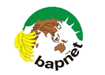 logo Bapnet